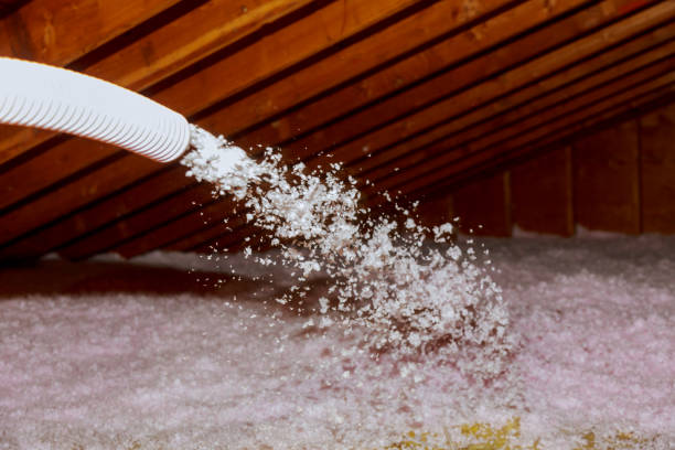 Best Insulation Installation Services in Mount Vernon, GA