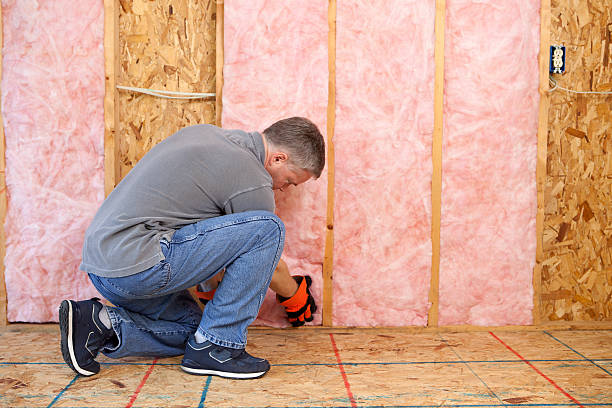 Best Residential Insulation in Mount Vernon, GA